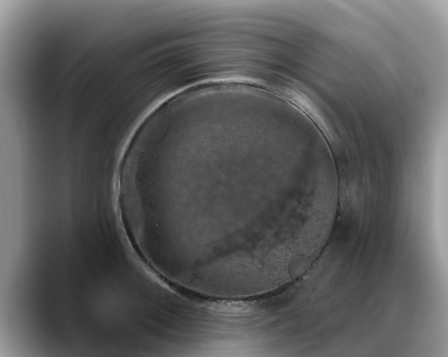 X0000088691092200706071515