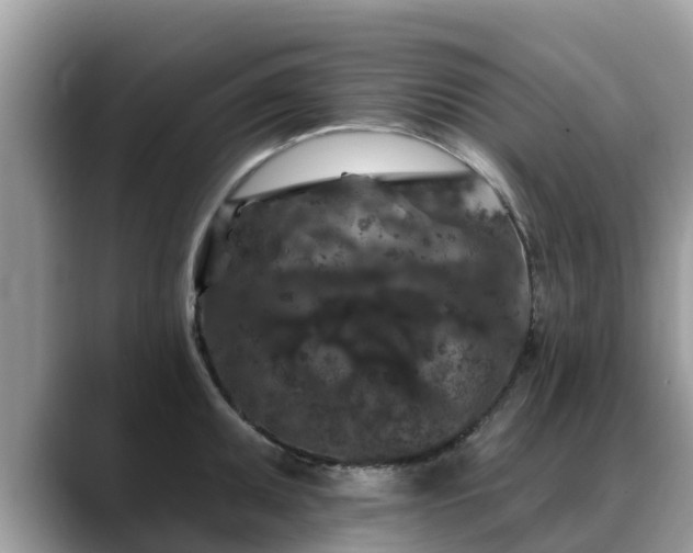 X0000088691095200706071515
