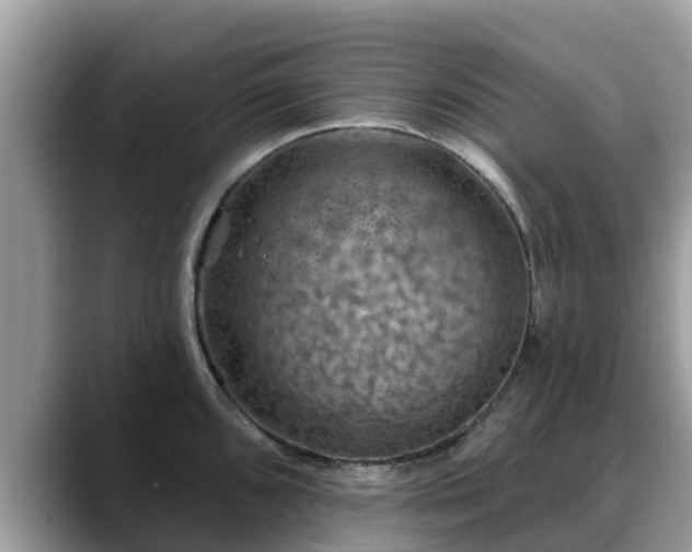 X0000088691096200706071515