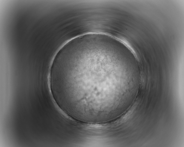 X0000088691100200706071515