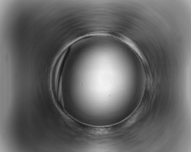 X0000088691101200706071515