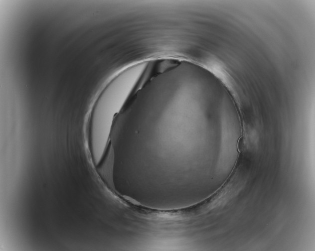X0000088691102200706071515