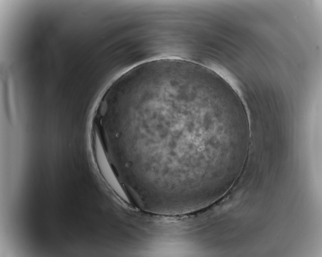 X0000088691104200706071514