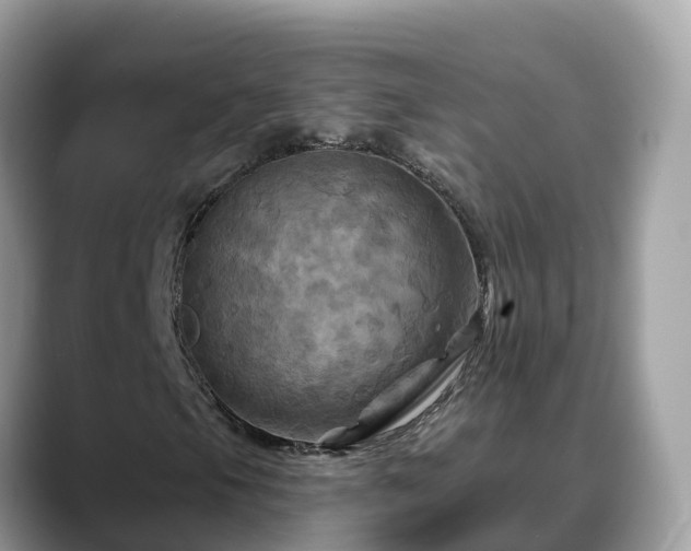 X0000088691105200706071514