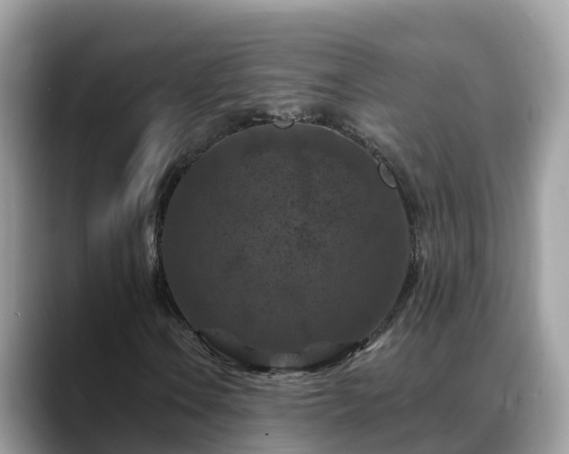 X0000088691106200706071514