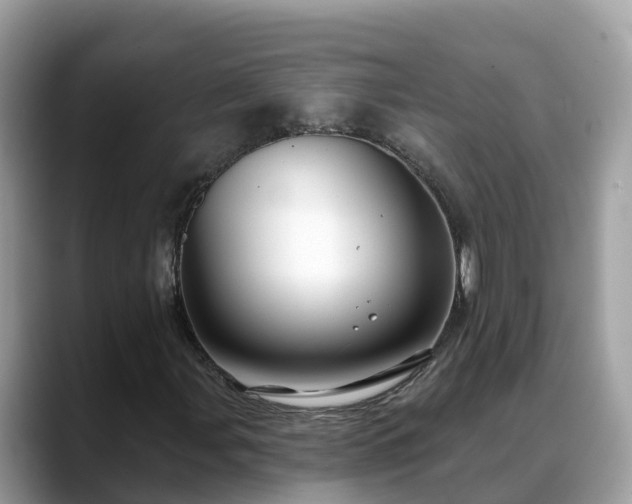 X0000088691107200706071514