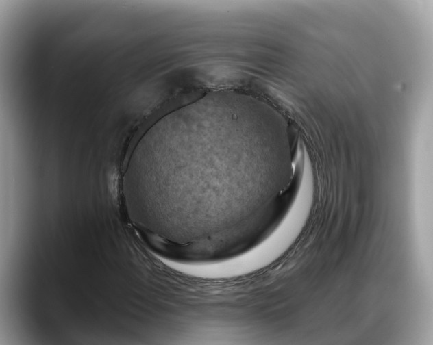 X0000088691108200706071514