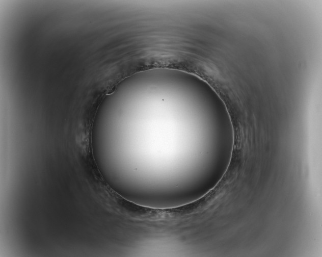 X0000088691109200706071514