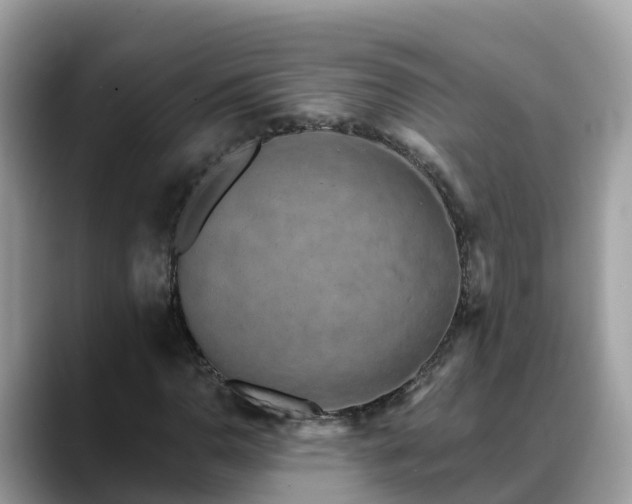 X0000088691110200706071514