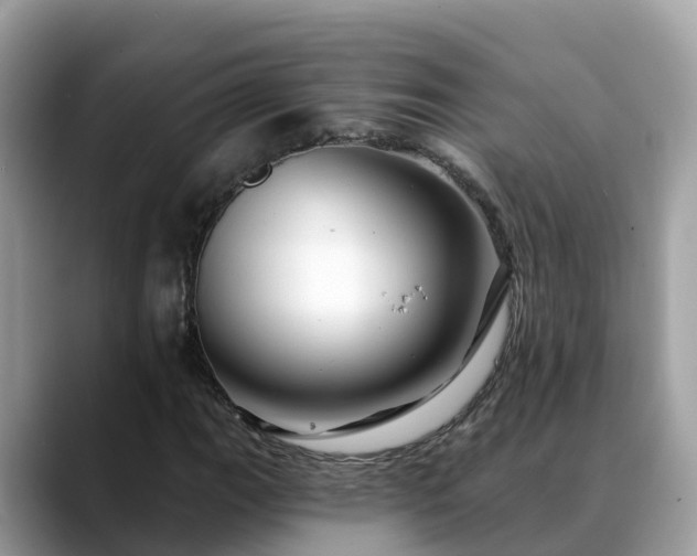X0000088691111200706071514