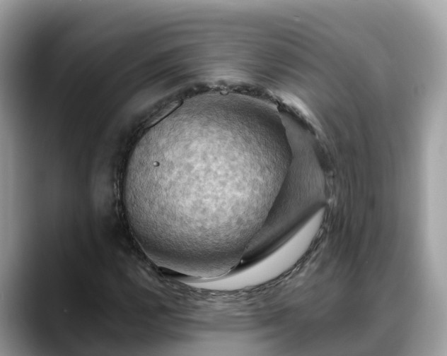 X0000088691112200706071514
