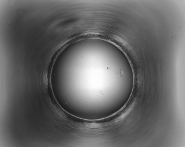 X0000088691113200706071514