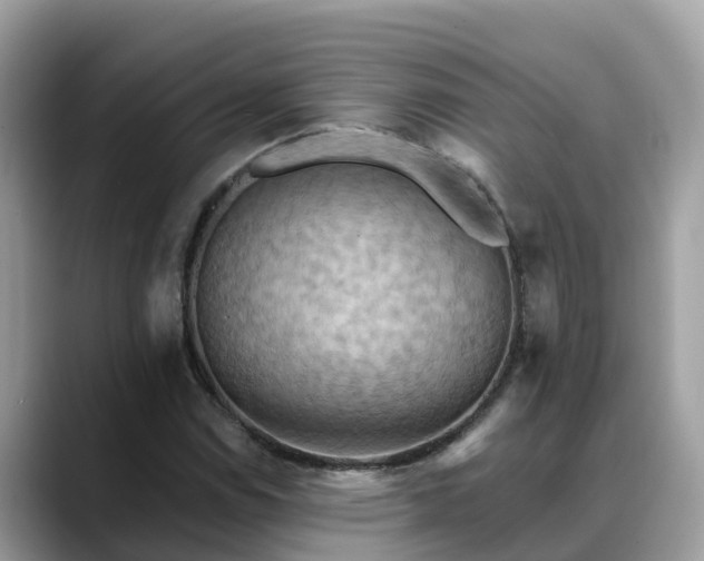 X0000088691114200706071514