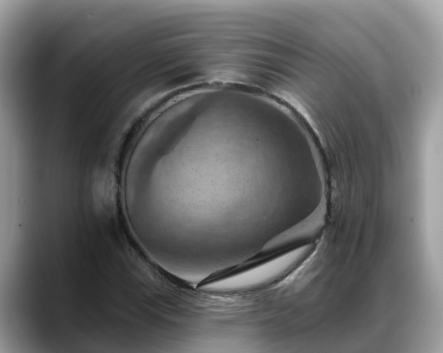 X0000088691115200706071514