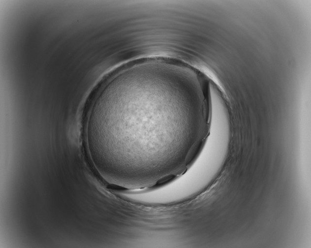 X0000088691116200706071514