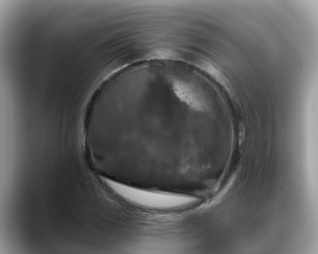 X0000088691117200706071514
