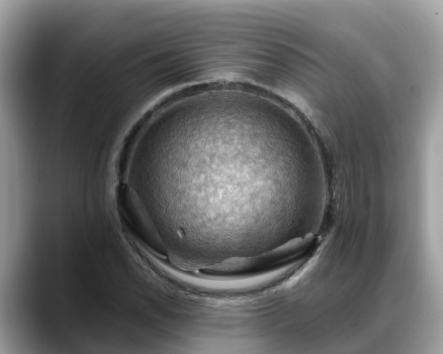 X0000088691118200706071514