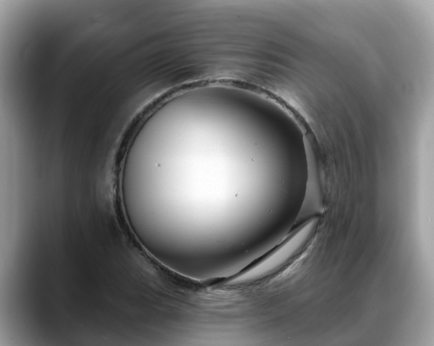 X0000088691119200706071514