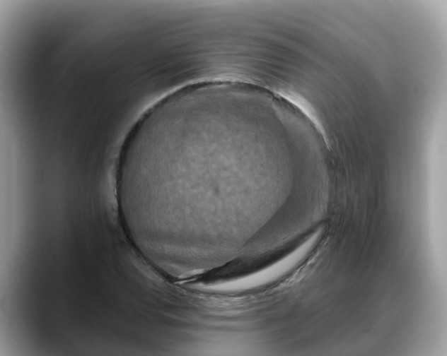 X0000088691120200706071514