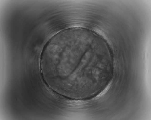 X0000088691121200706071514