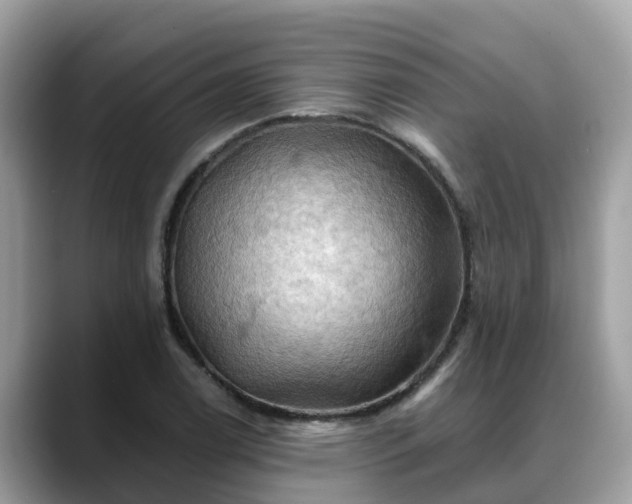 X0000088691122200706071514
