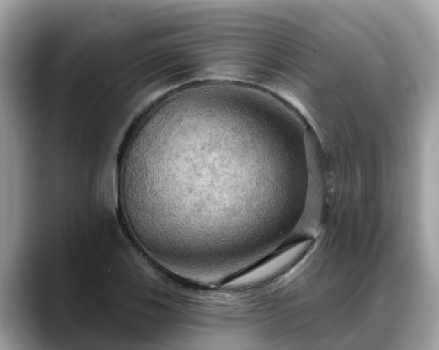 X0000088691123200706071514