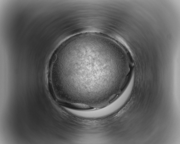 X0000088691124200706071514