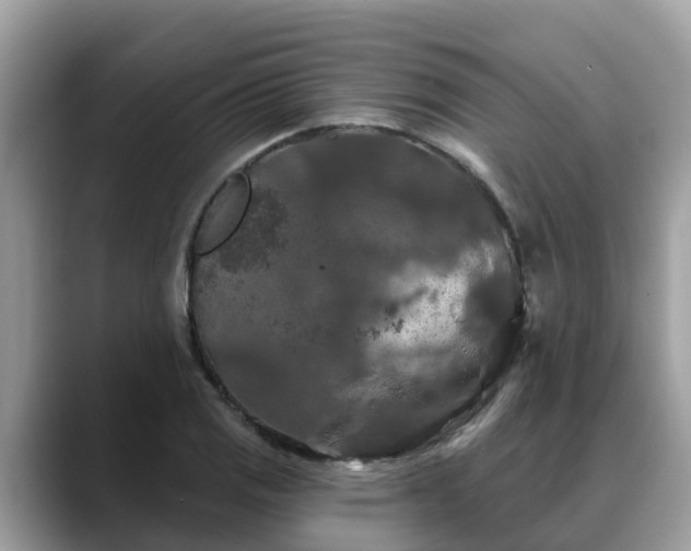 X0000088691125200706071514