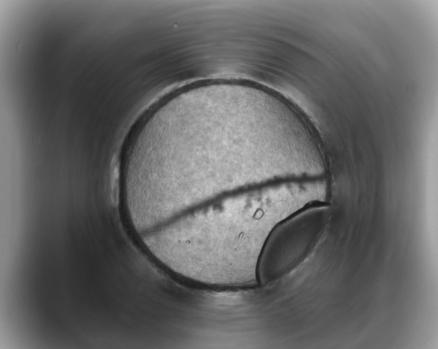 X0000088691126200706071514
