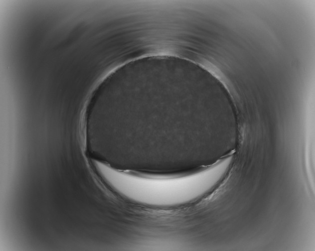 X0000088691127200706071514