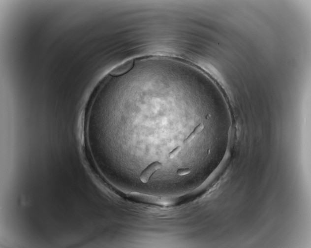 X0000088691128200706071514