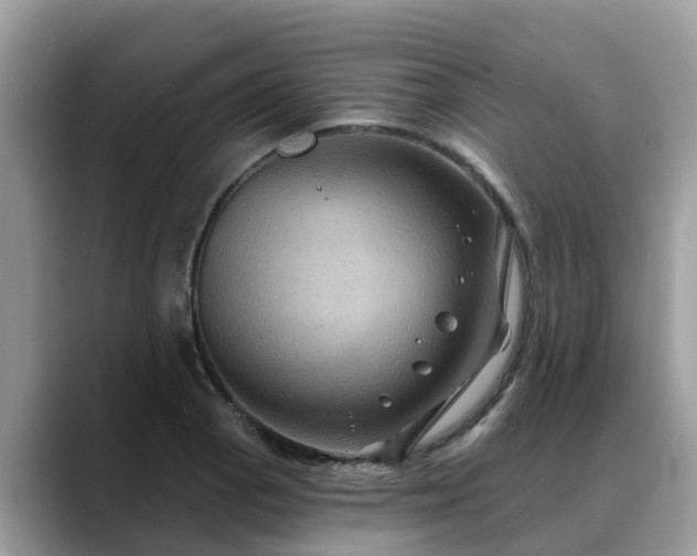 X0000088691129200706071514