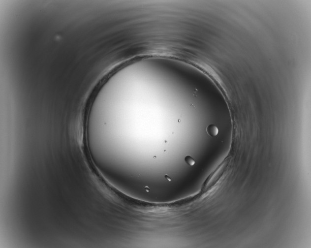 X0000088691131200706071514