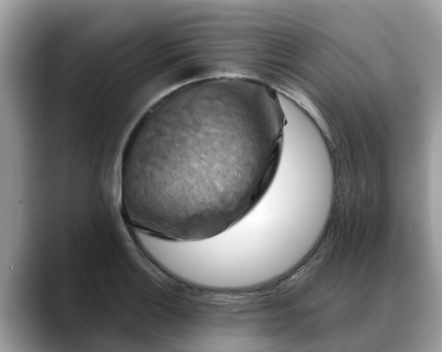 X0000088691132200706071514