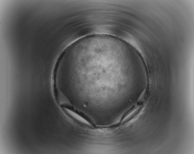 X0000088691133200706071514