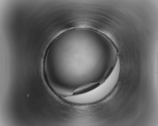 X0000088691134200706071514