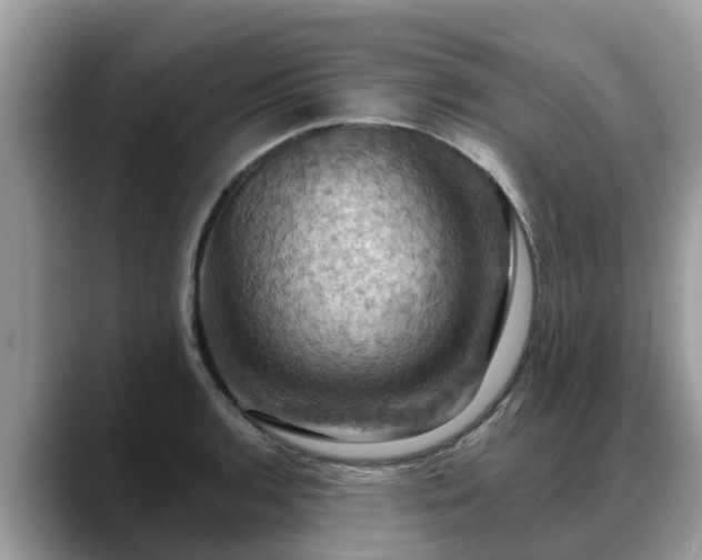 X0000088691136200706071514