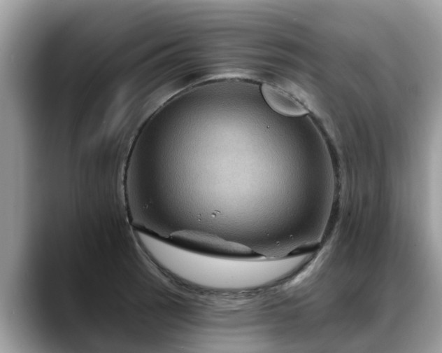 X0000088691137200706071514