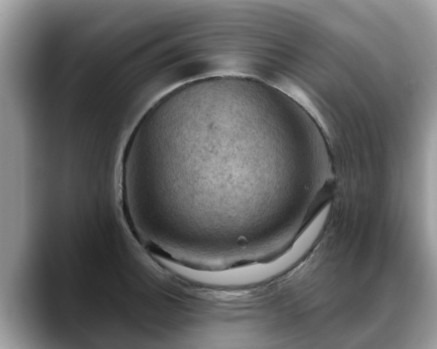 X0000088691140200706071514