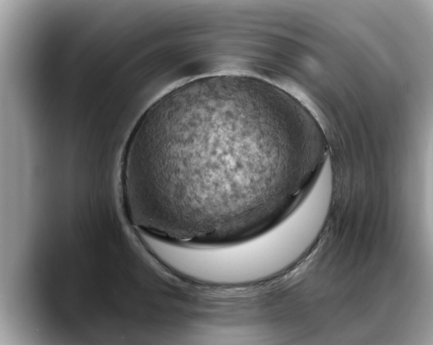 X0000088691142200706071514