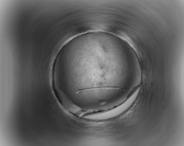 X0000088691143200706071514