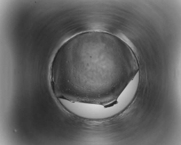 X0000088691144200706071514