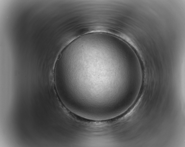 X0000088691145200706071514