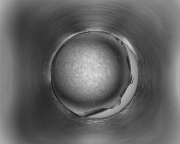 X0000088691148200706071514