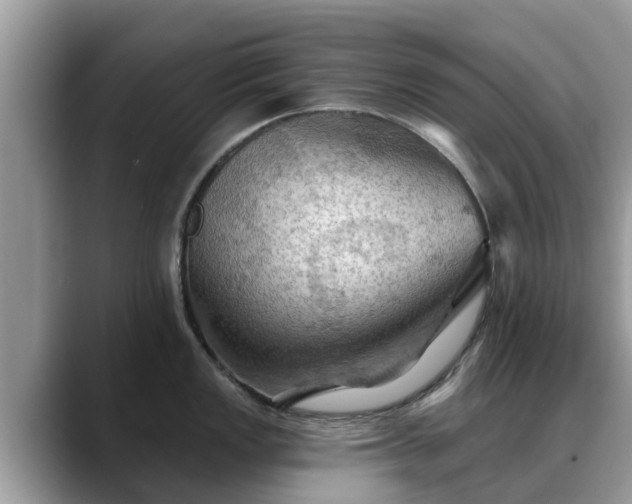 X0000088691149200706071514