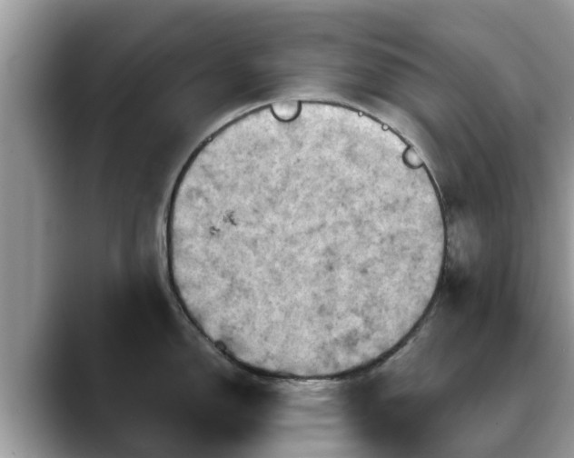 X0000088691150200706071514