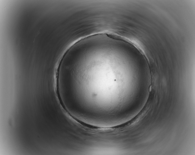X0000088691151200706071514