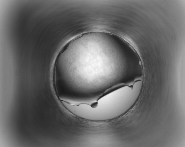 X0000088691152200706071514
