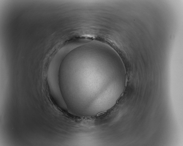 X0000088691153200706071514