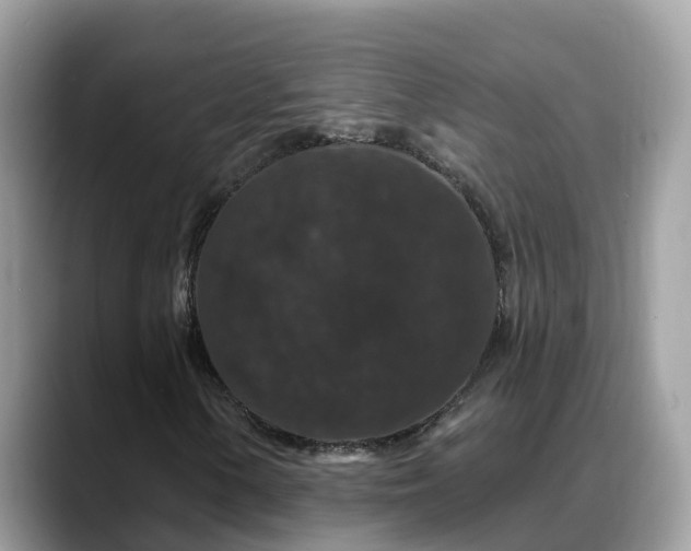 X0000088691154200706071514